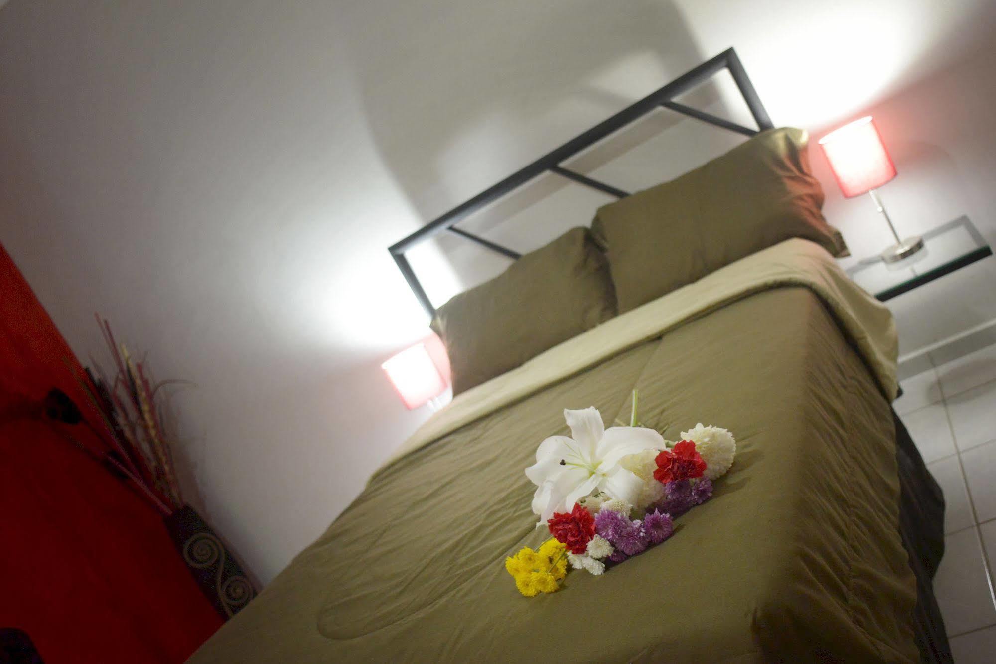 Hotel Plaza Providencia Ixtapa  Exterior photo
