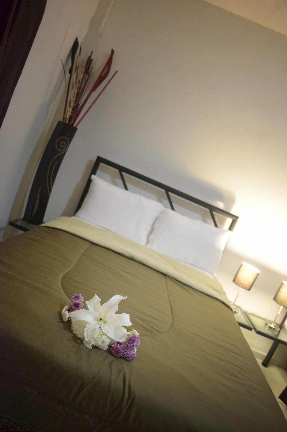 Hotel Plaza Providencia Ixtapa  Exterior photo